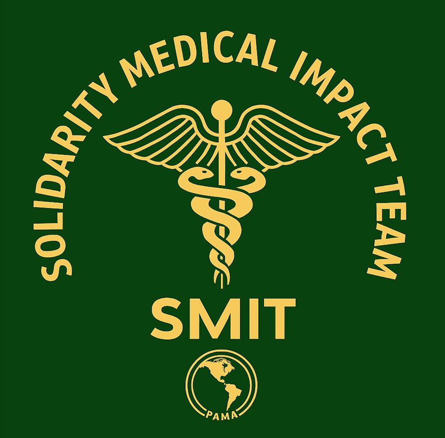Brasão do Solidarity Medical Impact Team: um caduceu sobre um globo das Américas, em dourado sobre verde-escuro.